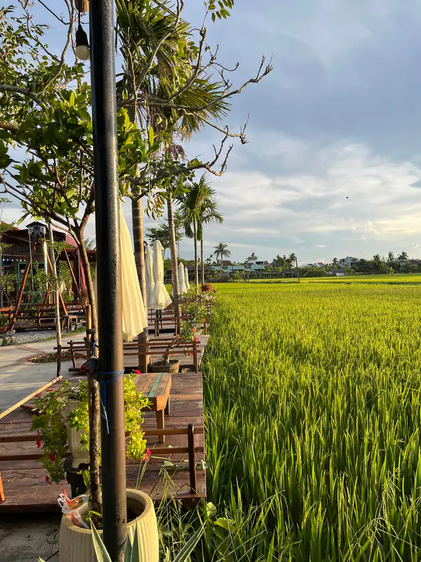 Roving Chillhouse-restaurant & sunsetbar - ảnh 8