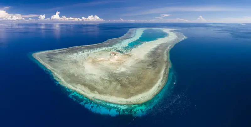 Rạn san hô Tubbataha - ảnh 2