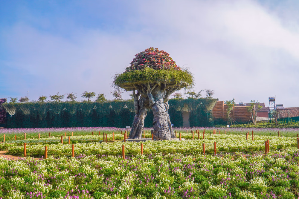 Khu du lịch Fresh Garden Dalat - ảnh 7