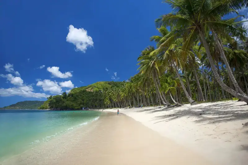 Bãi biển El Nido Nacpan - ảnh 4