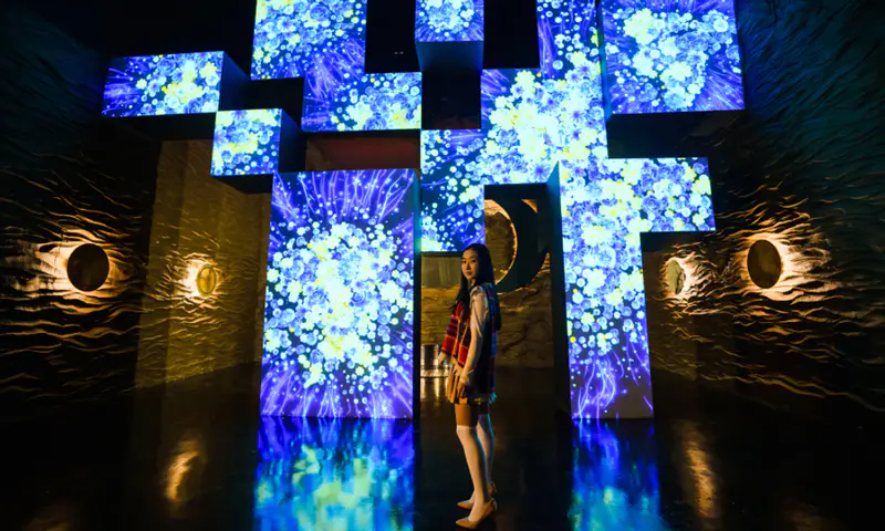 Vườn Ánh Sáng Lumiere - ảnh 6