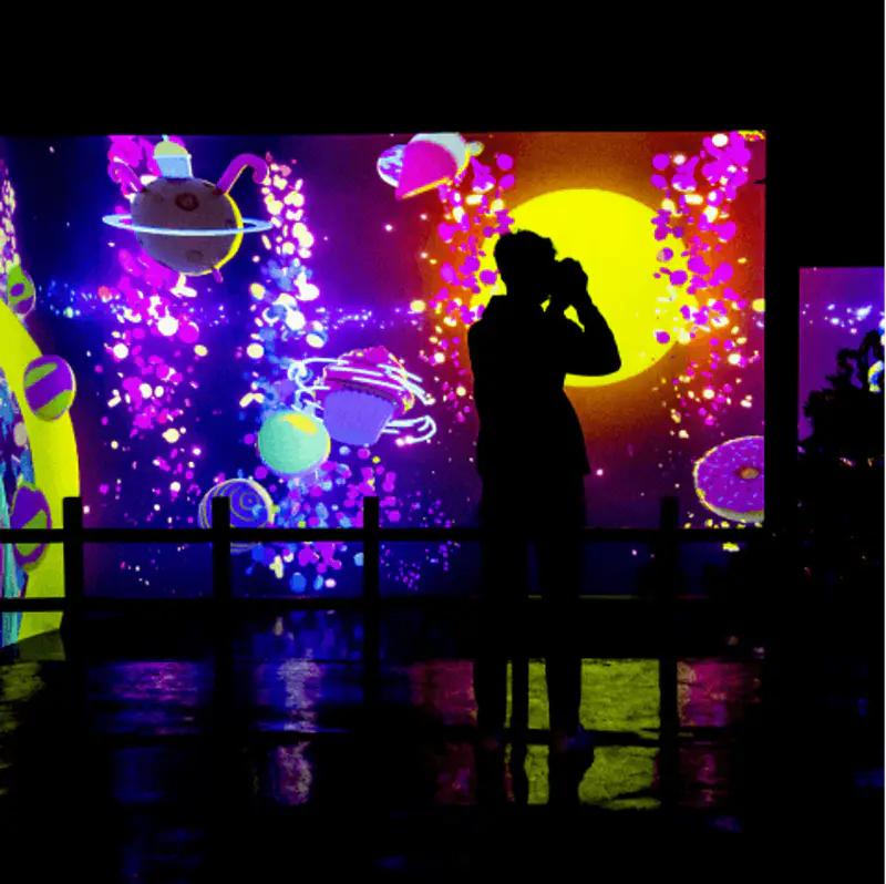 Vườn Ánh Sáng Lumiere - ảnh 5