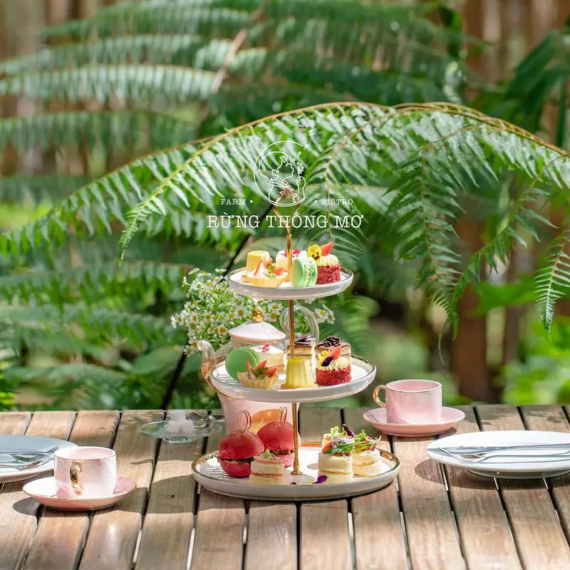 Rừng Thông Mơ Farm & Bistro - ảnh 3