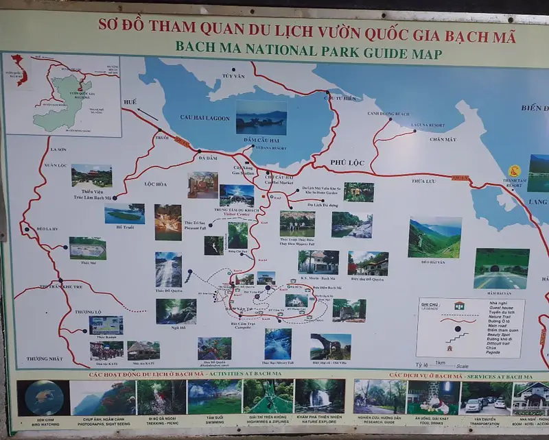 Vườn Quốc Gia Bạch Mã - ảnh 7