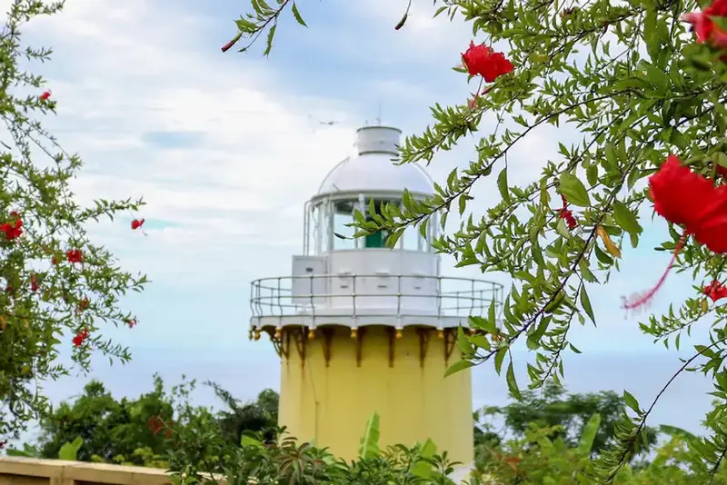 Bán đảo Sơn Trà - ảnh 3