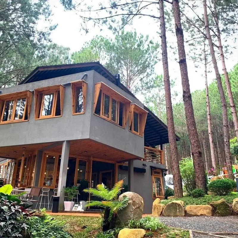 Rừng Thông Mơ Farm & Bistro - ảnh 7