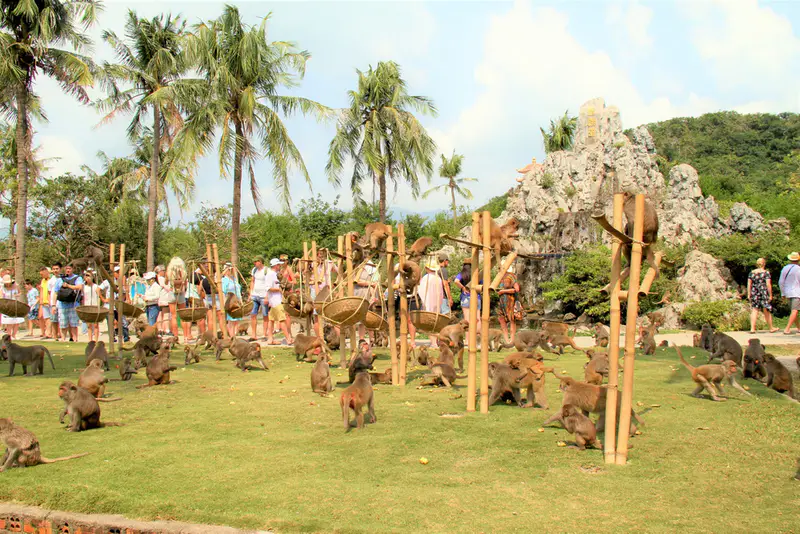 Khu du lịch Đảo Khỉ - ảnh 7