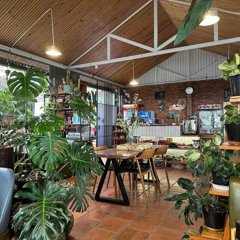 Anna's Coffee House - ảnh 2