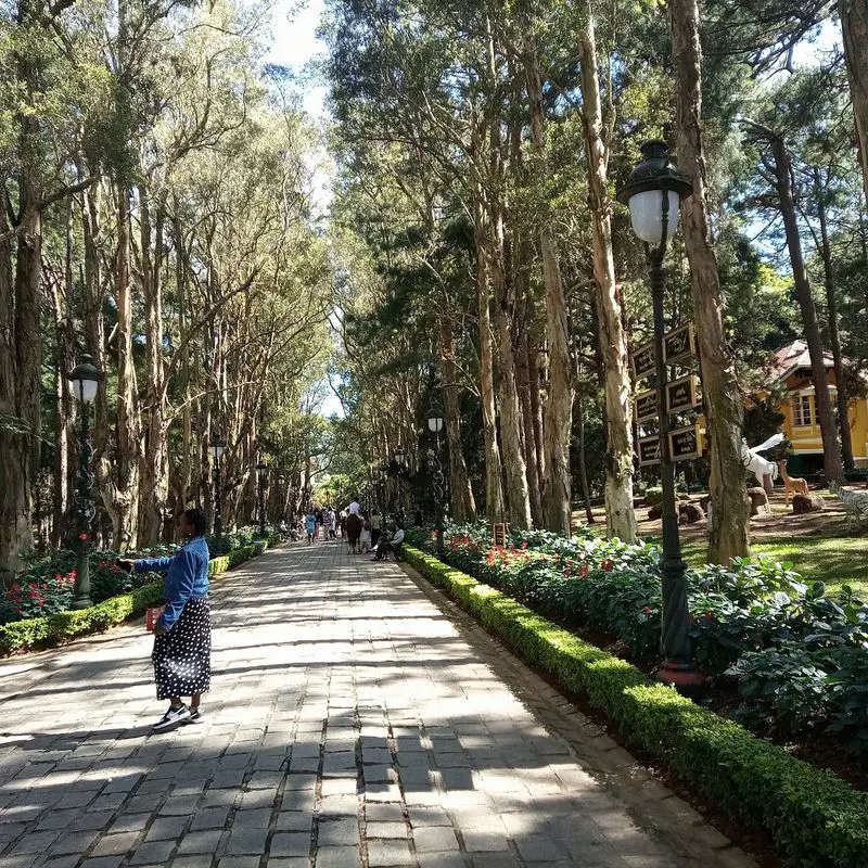 Dinh 1 Đà Lạt (Dinh Bảo Đại) - ảnh 3