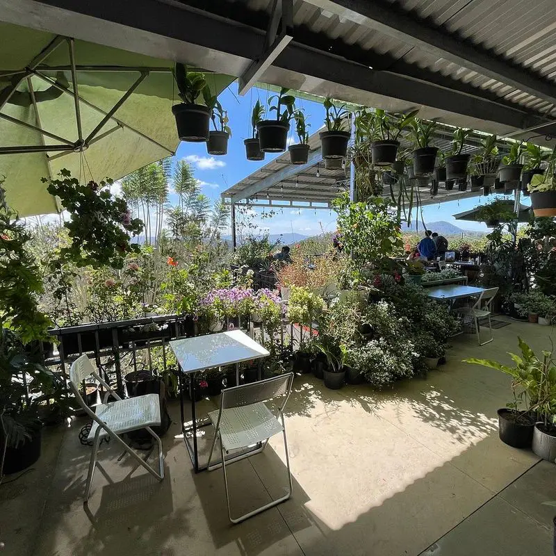 Anna's Coffee House - ảnh 4