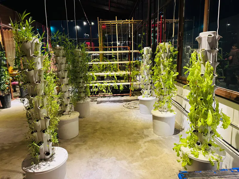 Shamballa Vegetarian, Greenhouse & Rooftop Bar - Da Nang - ảnh 2