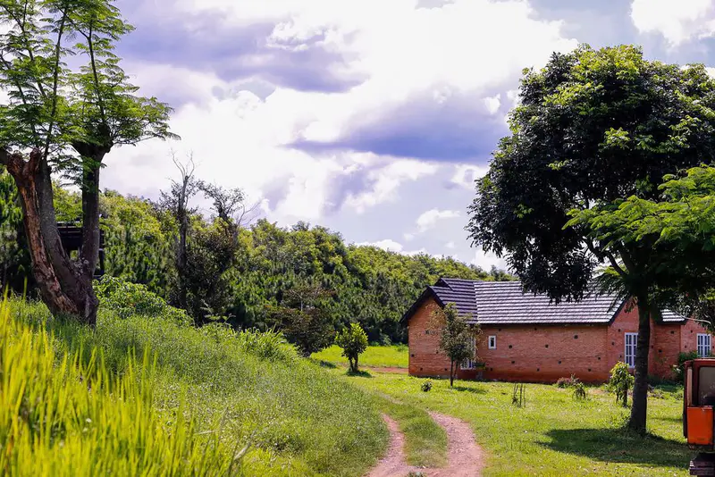 Dalat Milk Farm - Nông trại bò sữa - ảnh 7