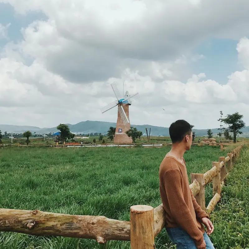 Dalat Milk Farm - Nông trại bò sữa - ảnh 6