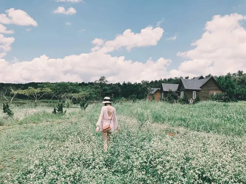 Dalat Milk Farm - Nông trại bò sữa - ảnh 5
