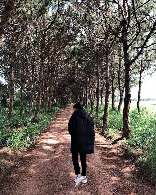 Dalat Milk Farm - Nông trại bò sữa - ảnh 3