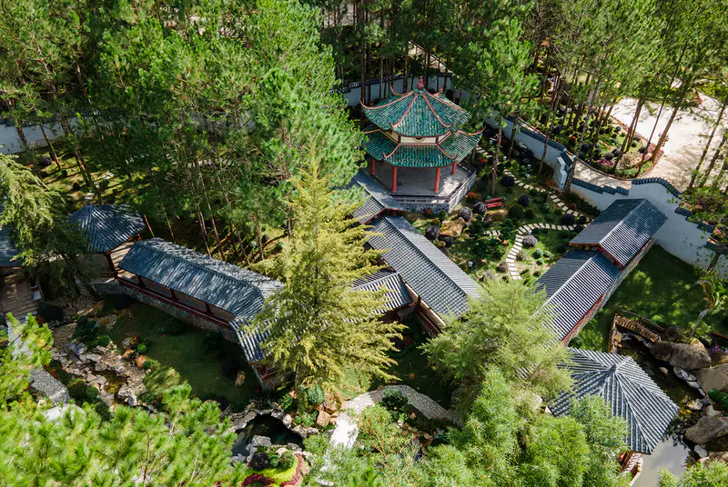 KDL Rừng Thông Núi Voi - Elephant Mountain Pine Forest - ảnh 4