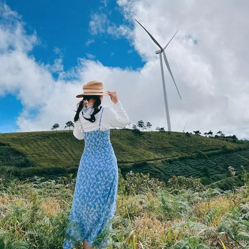 Đồi Chè Cầu Đất - ảnh 4