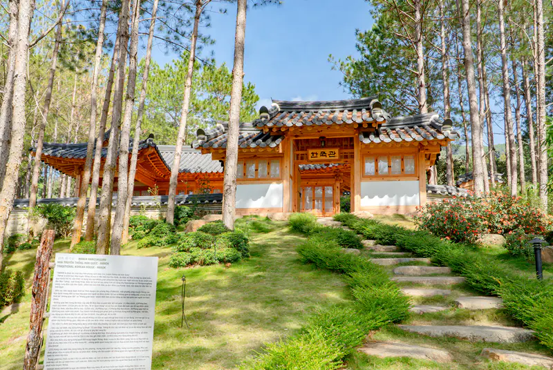 KDL Rừng Thông Núi Voi - Elephant Mountain Pine Forest - ảnh 9