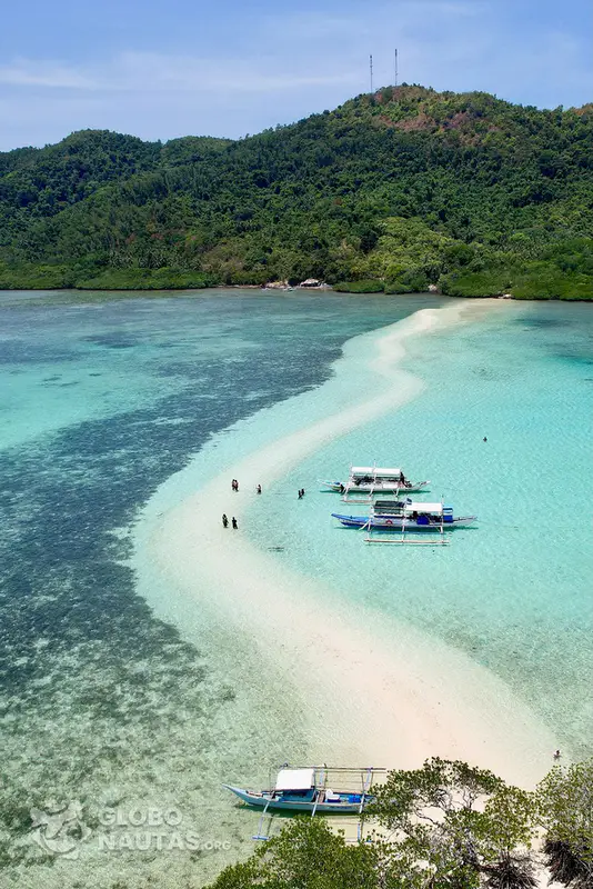 Đảo Snake El Nido (Vigan Island) - ảnh 6