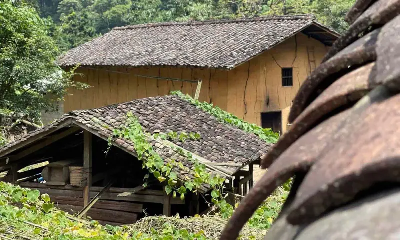 Làng Sảo Há ( Làng ma ám) - ảnh 6