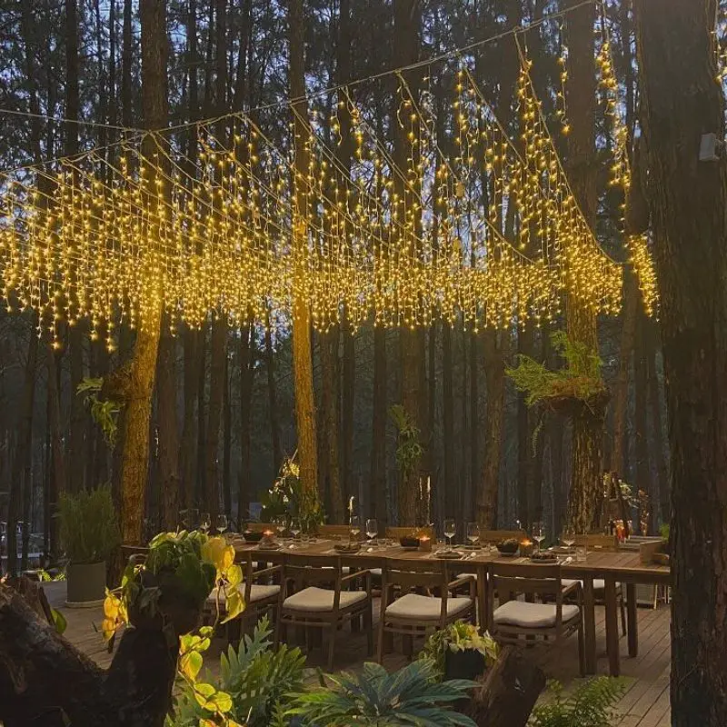 Rừng Thông Mơ Farm & Bistro - ảnh 6