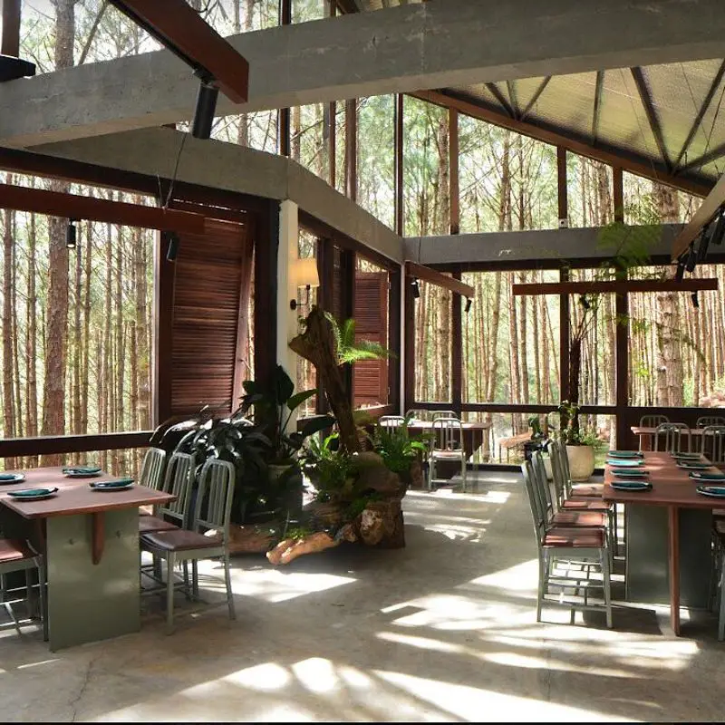 Rừng Thông Mơ Farm & Bistro - ảnh 9