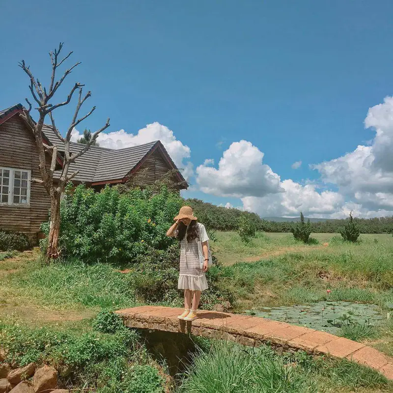 Dalat Milk Farm - Nông trại bò sữa - ảnh 2