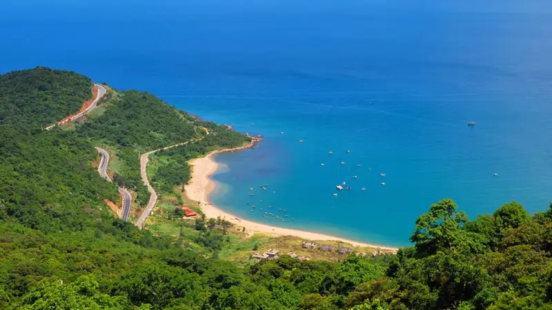 Đỉnh Bàn Cờ - ảnh 4