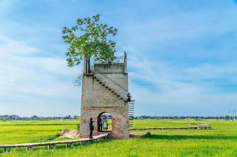 Lò gạch cũ farm - ảnh 9