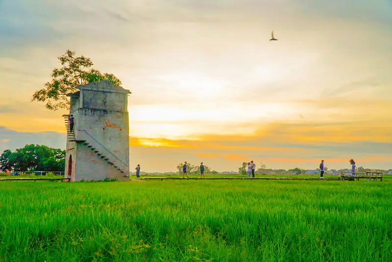 Lò gạch cũ farm - ảnh 10