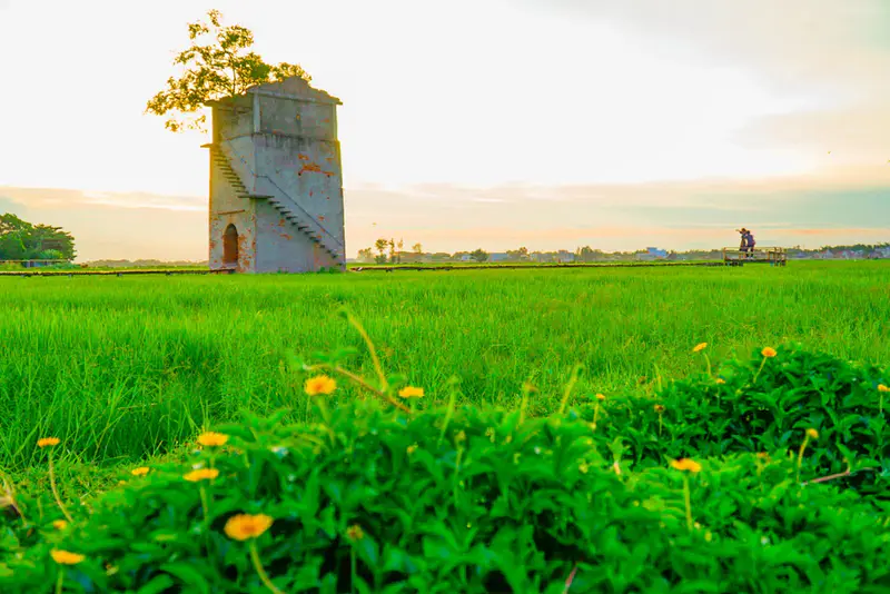 Lò gạch cũ farm - ảnh 8