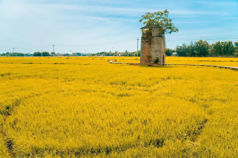 Lò gạch cũ farm - ảnh 7