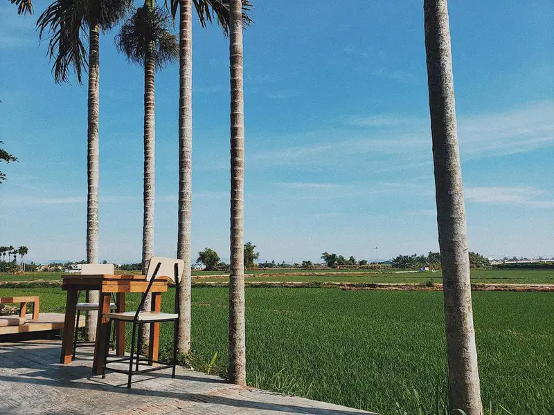 Lò gạch cũ farm - ảnh 4