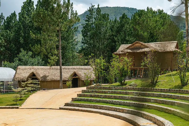 KDL Rừng Thông Núi Voi - Elephant Mountain Pine Forest - ảnh 5