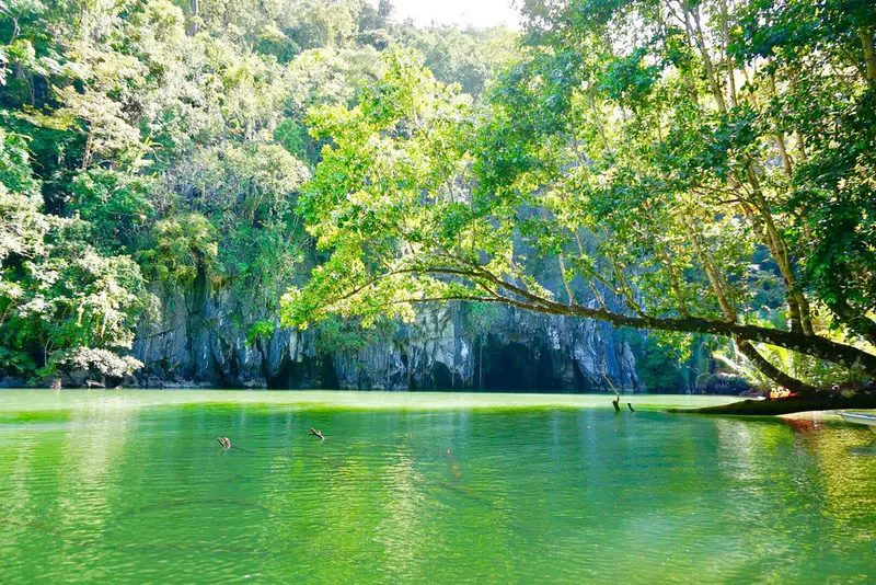 Vườn quốc gia sông ngầm Puerto Princesa - ảnh 2
