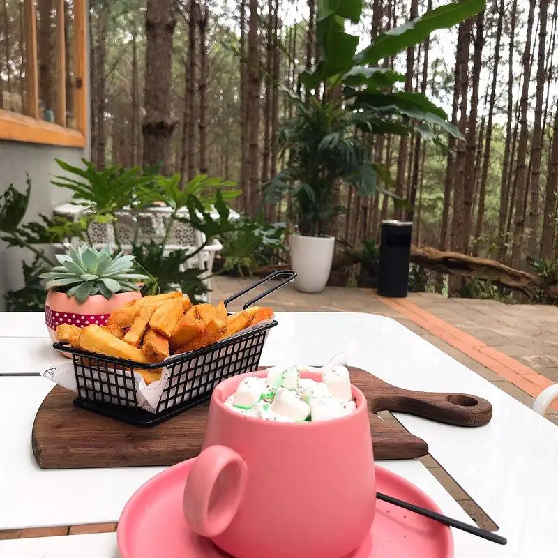 Rừng Thông Mơ Farm & Bistro - ảnh 8