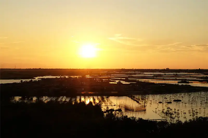 Rừng Rú Chá - ảnh 3