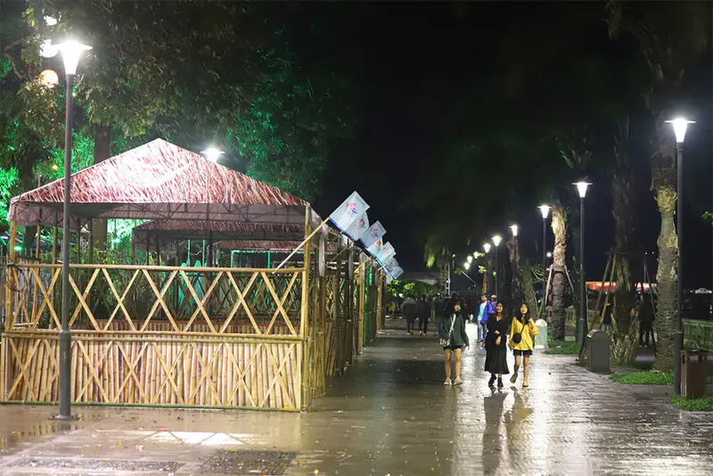 Đường đi bộ Nguyễn Đình Chiểu - ảnh 3