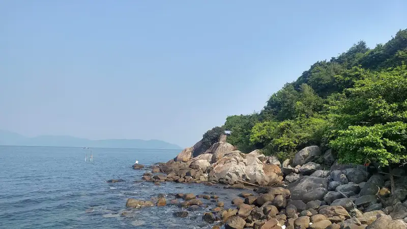 Bãi Đá Đen - ảnh 2