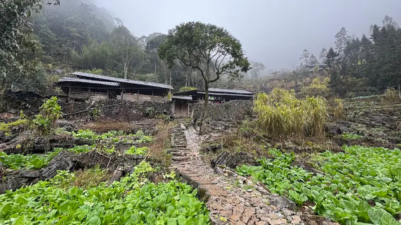 Làng Sảo Há ( Làng ma ám) - ảnh 3