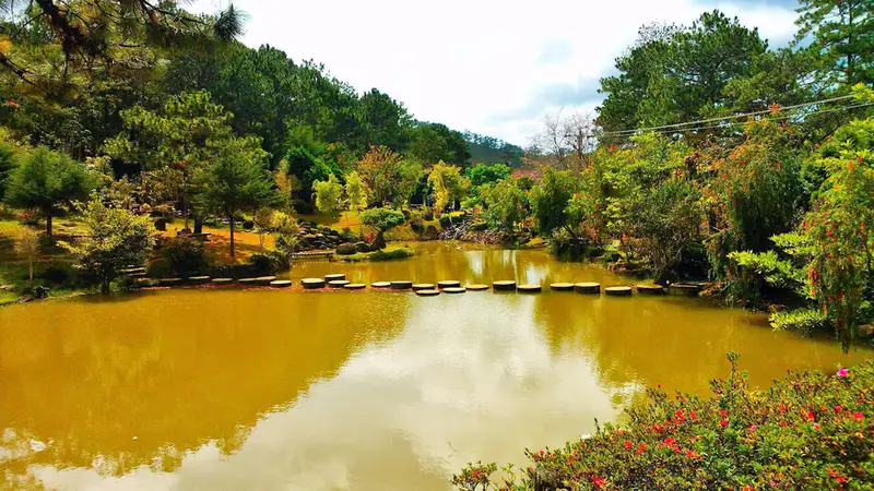 Thung lũng vàng - ảnh 9