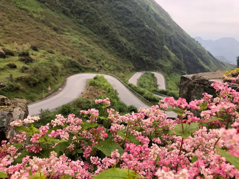 Dốc Chín Khoanh Hà Giang - ảnh 2