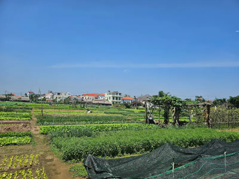 Tra Que Water Wheel Restaurant & Cooking classes - ảnh 4
