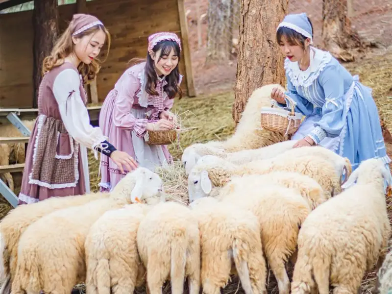 Khu vui chơi Dalat Wonderland - ảnh 3
