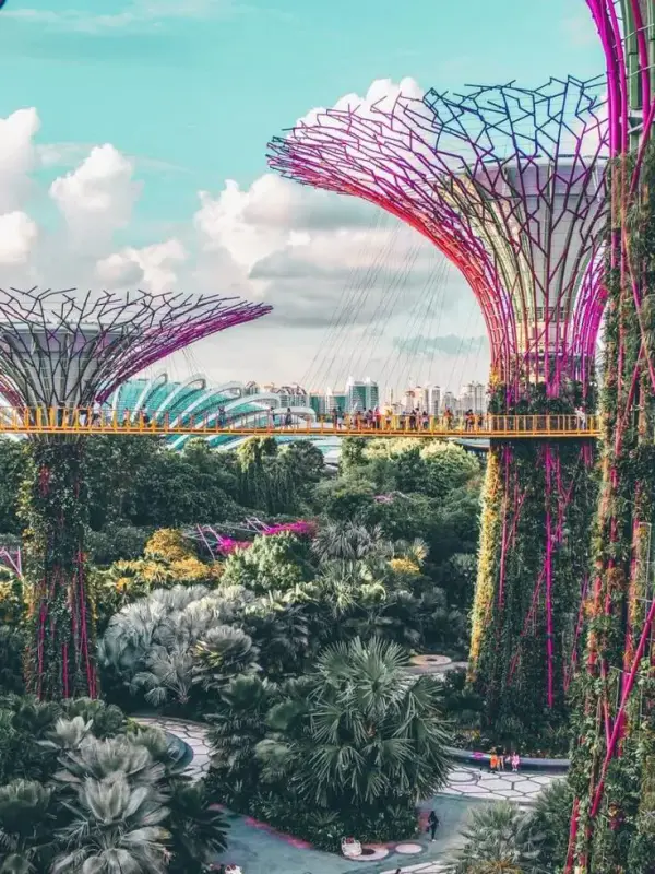 Gardens by the Bay - ảnh 2