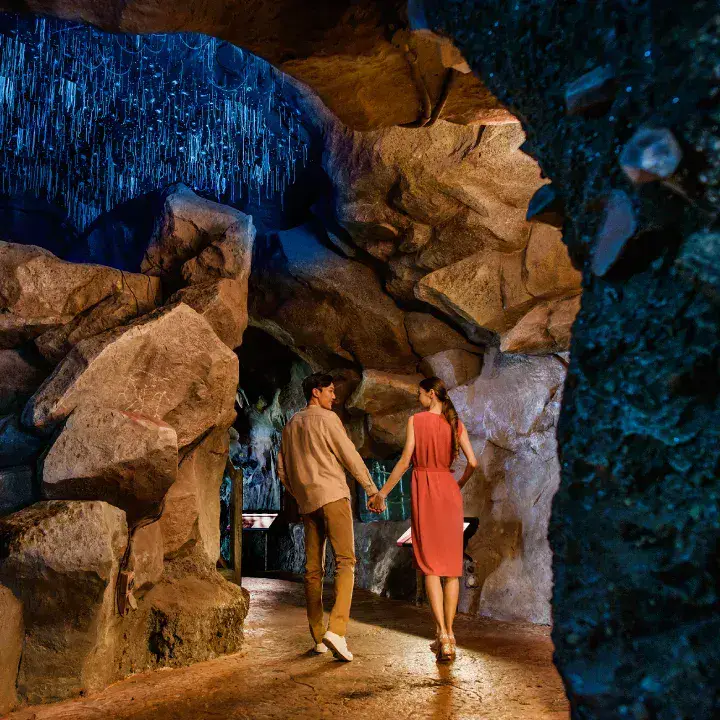 Vườn thú Night Safari - Singapore - ảnh 3