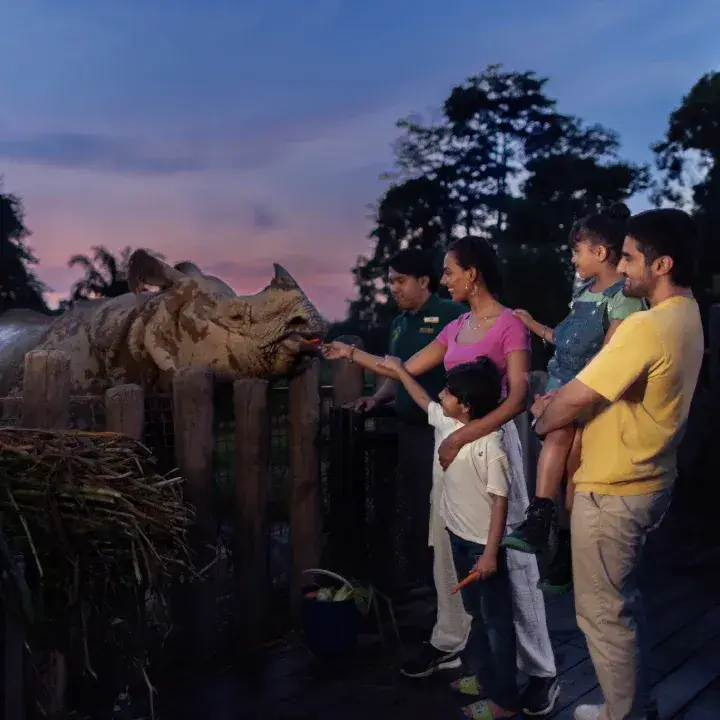 Vườn thú Night Safari - Singapore - ảnh 2