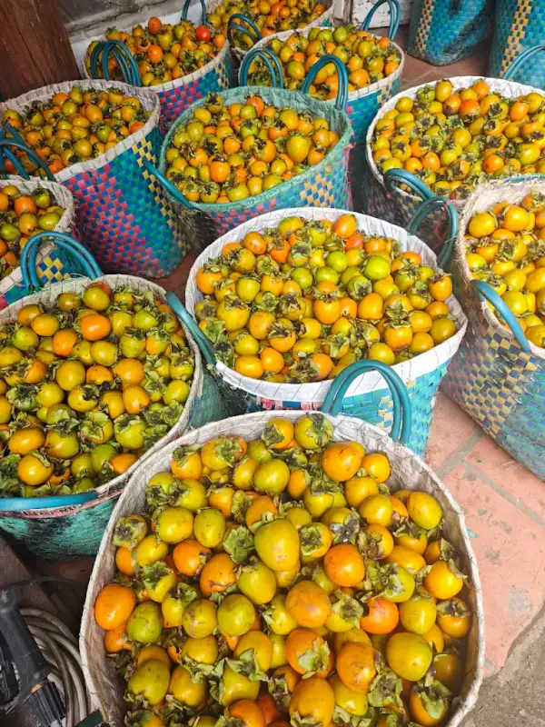 Vườn Hồng Treo Dốc Tình-N.Y.C - ảnh 3