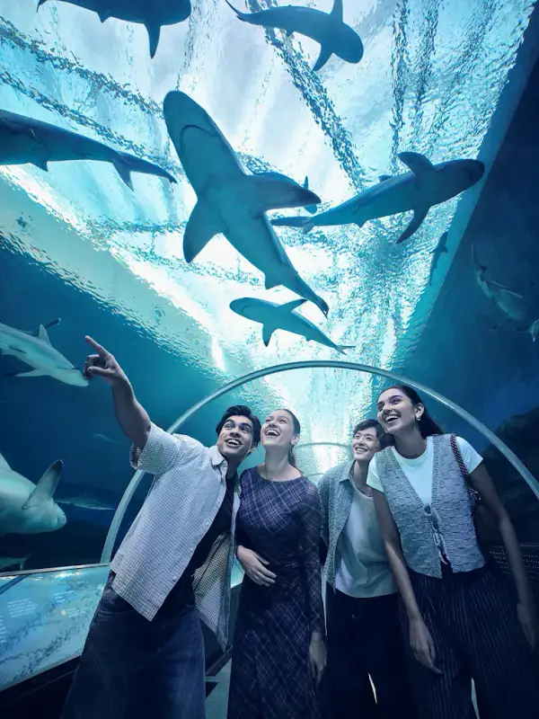 Thuỷ cung Singapore Oceanarium - ảnh 8