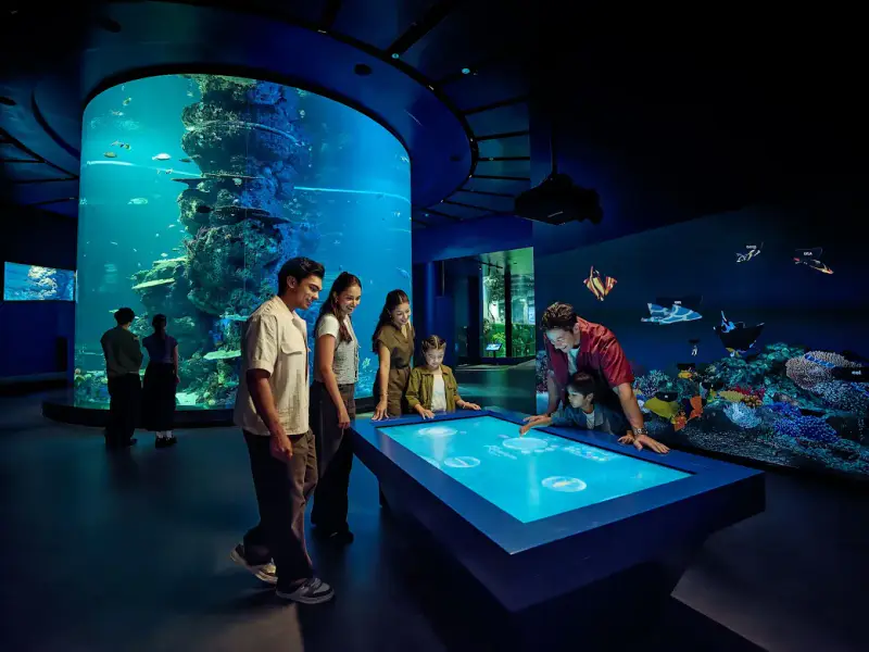 Thuỷ cung Singapore Oceanarium - ảnh 2